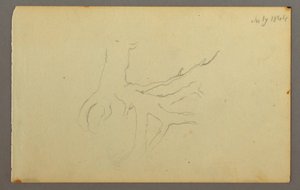 Disegno, radici di un albero, 1844
