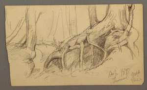 Disegno, radici di un albero che crescono su un masso (Monte Turner), 1877