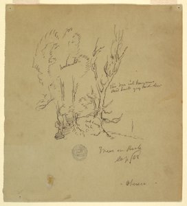 Disegno, Alberi Obersee nelle Alpi bavaresi o meridionali, settembre 1868 da Frederic Edwin Church