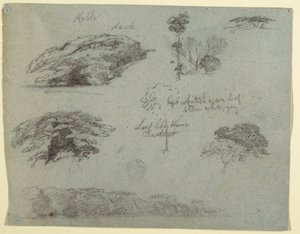 Disegno, Alberi, cime di alberi e una riva boscosa, Saddleback, Maine, 1853