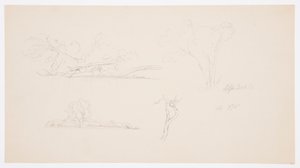 Disegno, Alberi, una riva con cespugli e alberi, settembre 1876 da Frederic Edwin Church