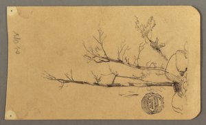 Disegno, Alberi, massi, 1878 da Frederic Edwin Church