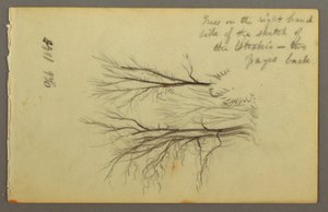Disegno, Alberi di Htakie () Pond, 1845 da Frederic Edwin Church