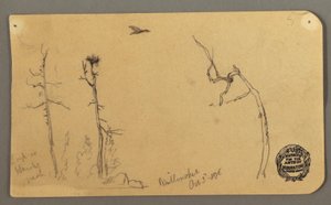 Disegno, Alberi, uccello in volo, 1877 da Frederic Edwin Church
