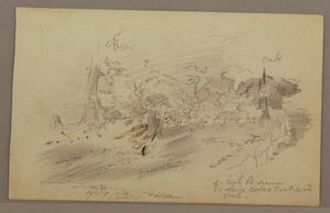 Disegno, Alberi, forse 1860 da Frederic Edwin Church