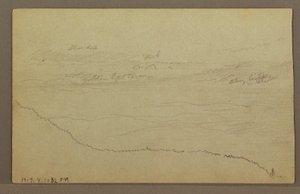 Disegno, Alberi, forse 1860