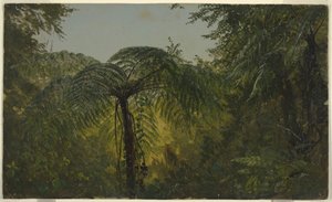 Disegno, Paesaggio tropicale, giugno o luglio 1865 da Frederic Edwin Church