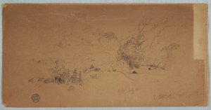 Disegno, Veduta di Toche, Colombia, luglio 1853