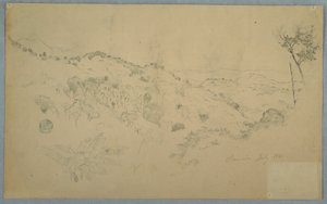 Disegno, valle boscosa con una grande felce e distanti catene montuose, Giamaica, luglio 1865 da Frederic Edwin Church