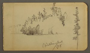 Disegno, Riva boscosa, studio di un albero, 1878 da Frederic Edwin Church
