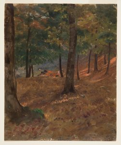 Disegno, scena di bosco, 1870-80 da Frederic Edwin Church