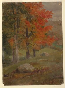 Disegno, bosco in autunno, 1865
