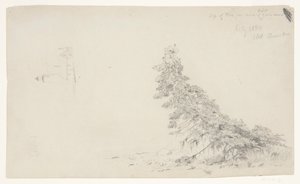 Albero sempreverde vicino alla riva con un dettaglio del faro e una casa, Mount Desert, Maine da Frederic Edwin Church