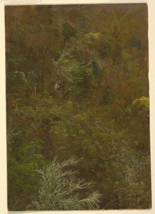 Collina con alberi, Giamaica