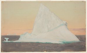 Iceberg e fiore di ghiaccio