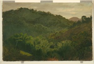 Paesaggio dalla Giamaica