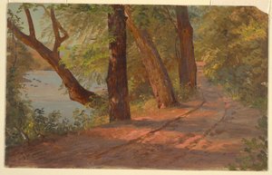 Paesaggio del Nord America (Strada vicino a un Lago) da Frederic Edwin Church