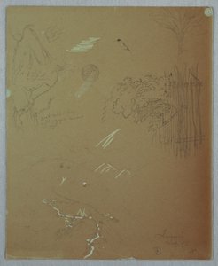 Studi sulla natura, Blue Mountains, Giamaica