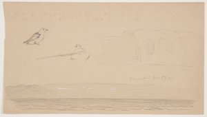 Schizzi dal Labrador di neve sulla terra, uomo in barca e uccello da Frederic Edwin Church