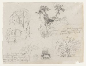 Schizzi dal Sud America, probabilmente dalla Colombia.  Schizzi botanici.  Una casa. da Frederic Edwin Church
