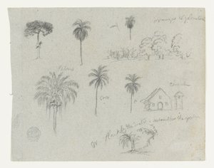 Schizzi dal Rio Magdalena, Colombia.  Schizzi botanici. Una chiesa.  Simile a -103. da Frederic Edwin Church