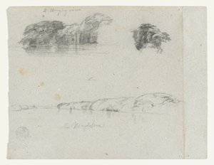 Schizzi di alberi, viti e una riva del Rio Magdalena, Colombia