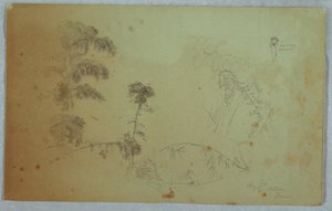 Studi di alberi con dettagli di bambù e un piccolo dettaglio di un uomo che porta banane sulla testa, Bellevue, Giamaica