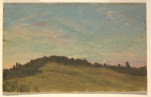Paesaggio estivo