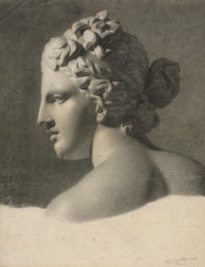 Studio di un calco in gesso (a la bosse)