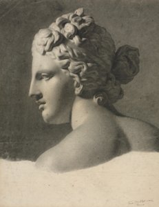 Studio di un calco in gesso a la bosse