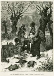 Cattura delle anatre nella rete (incisione)