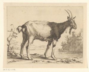 Capra da Frederick Bloemaert