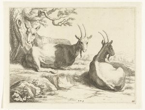 Capre (serie: Il libro di disegno di Abraham Bloemaert) da Frederick Bloemaert