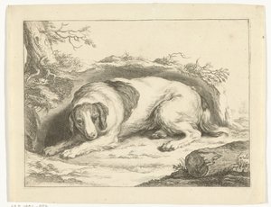 Spaniel da Frederick Bloemaert