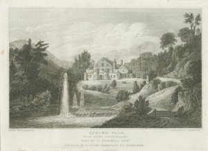 Stone - Spring Vale da Frederick Calvert