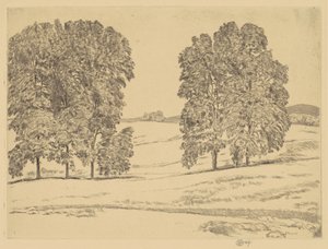 Noci in un campo di fieno, 1917