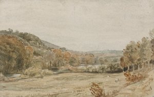 Fiume Tamar, vicino a Endsleigh, Devon