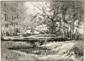 Piscina negli Adirondacks da Frederick Eugene Bartlett
