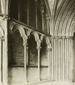 Cattedrale di Ely: Portico della Galilea, dettagli da Frederick H. Evans