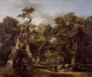 Una radura nella foresta, Arden, Warwickshire da Frederick Henry Henshaw