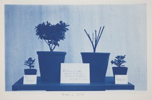 Senza titolo, 1 marzo