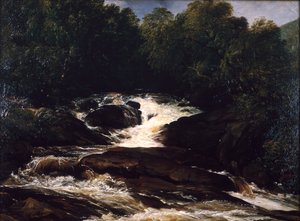 Un ruscello del Devonshire da Frederick Richard Lee