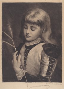 Coccinella