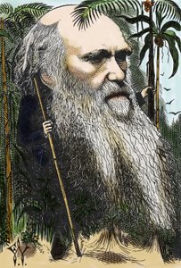 Charles Darwin (1809-1882) caricatura di F. Waddy in 