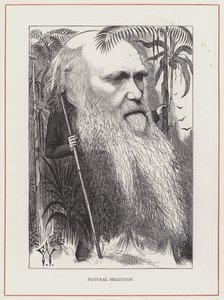 Charles Darwin, Selezione naturale