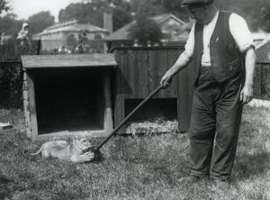 Un cucciolo di leone che gioca con un mocio, tenuto dal suo custode, sull