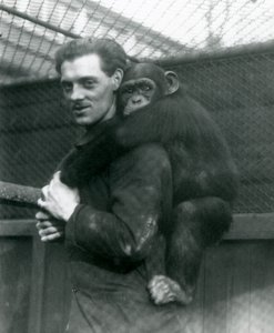 Un uomo porta la scimmia Sally sulla schiena, Zoo di Londra, 1924 da Frederick William Bond
