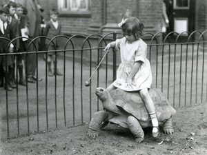 Una bambina, Betty, tiene un bastone con una mela all