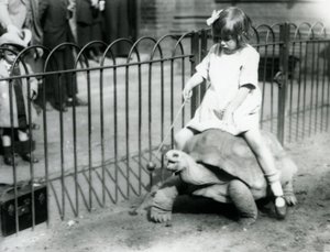 Una bambina, Betty, tiene un bastone con una mela all