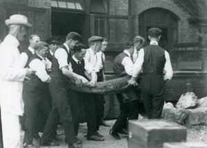 Una squadra di uomini trasporta un alligatore sorvegliato da Sir Peter Chalmers Mitchell, Zoo di Londra, 1924 da Frederick William Bond